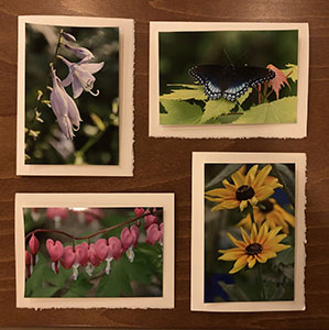 Item #33 Photo Note Cards