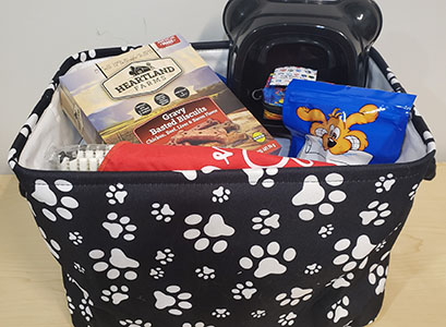 Item #43 Puppy Basket