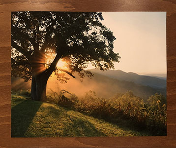 Item #7 8 X 10 Photo