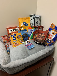 Dog Care Basket