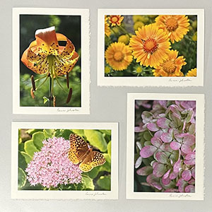 Item #20 Blank Photo Note Cards
