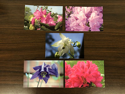 Item #21 Flower Postcard Set