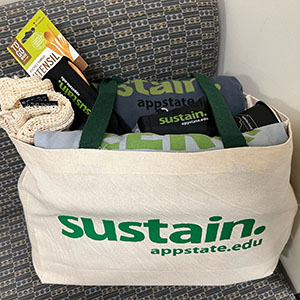 Item #24 Sustainability Basket