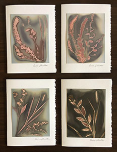 Item #2 Lumen Print Note Cards