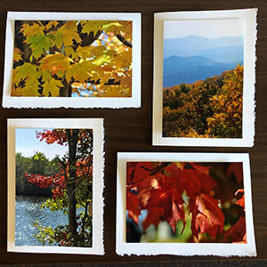 Item #39 Photo Note Cards