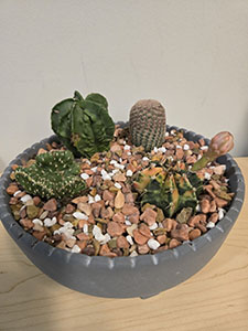 Item #40 Cactus Bowl