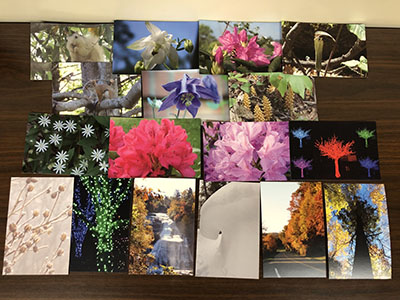 Item #41 17 Postcard Pack