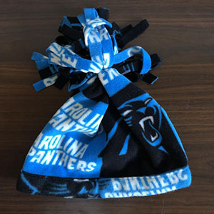 Item #50 Panthers Hat