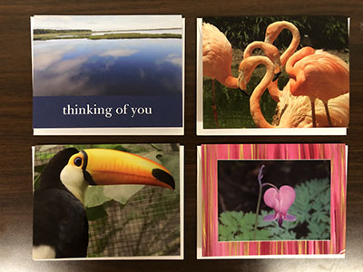 Item #53 Anna's Photo Note Cards
