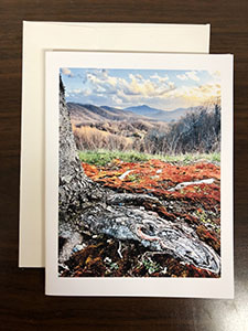 Item #58 Ellen's Photo Note Cards Mountain Roots