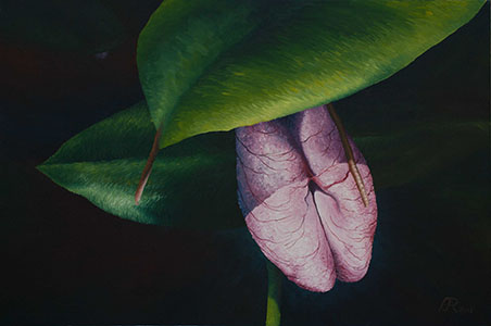 Item #5 "Lady Slipper" Print