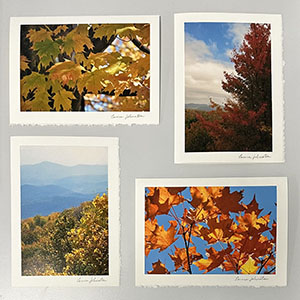 Blank Photo Note Cards