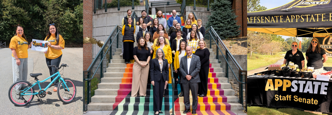 Staff Senate group photo on the Turchin steps