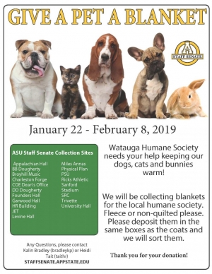 Give a Pet a Blanket